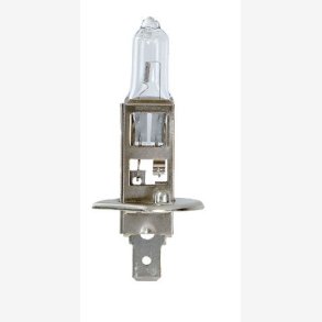 Bosma H1 12V 55W P14,5S