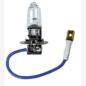Bosma H3 12V 55W PK22S
