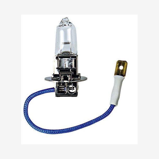 Bosma H3 12V 55W PK22S
