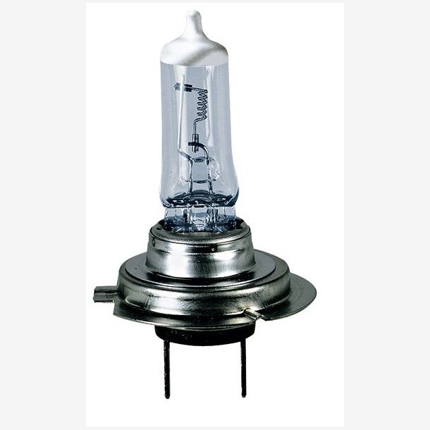 Bosma H7 12V 55W PX26D Long Life / Heavy Duty