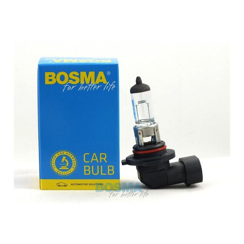 Bosma H12 12V 53W PZ20D